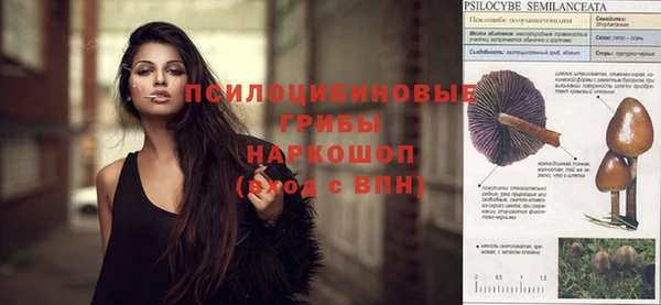 прущие крисы Пестово