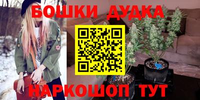 мдпв Дмитров