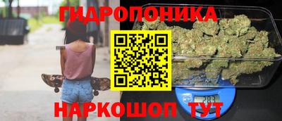 мдпв Дмитров