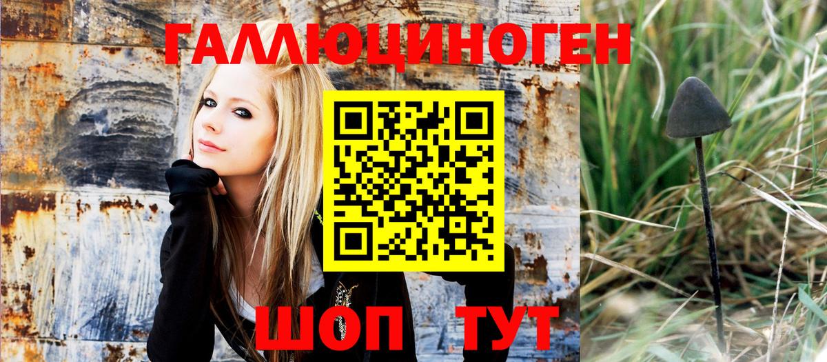 Псилоцибиновые грибы мухоморы  Вход с VPN  Псилоцибиновые грибы MAGIC MUSHROOMS  Североуральск 